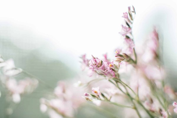 What are the Essential Tips for Wearing Pastel Colors in Winter?